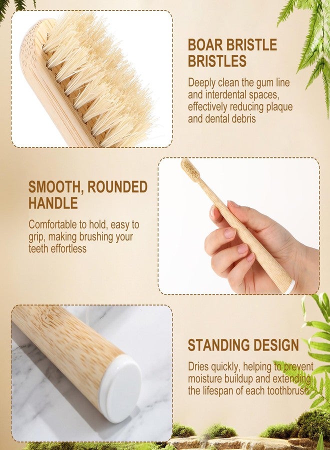 Ferrochef 4 Pack Boar Bristle & Bamboo Toothbrush Made from Natural Boar Hair Bristles and Bamboo Handle, Plastic & Nylon Free Biodegradable Quick Dry Design - Image 4