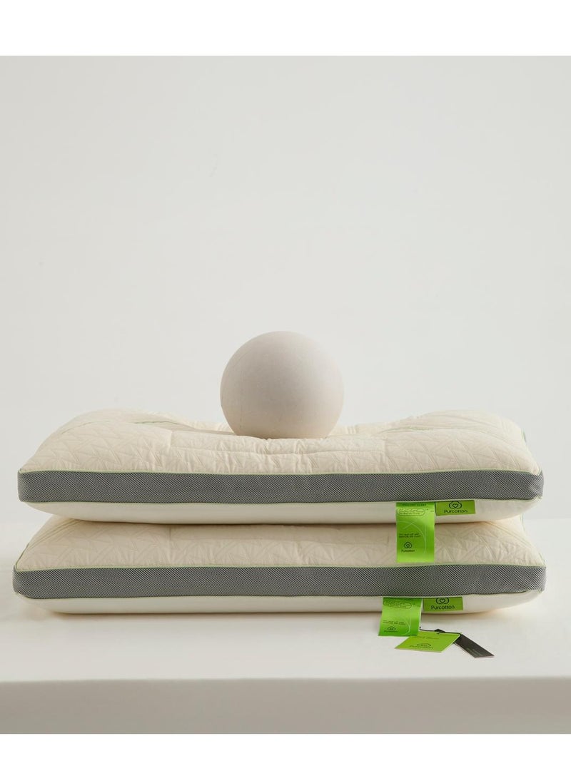 purcotton Cassia Seed Pillow - Image 1