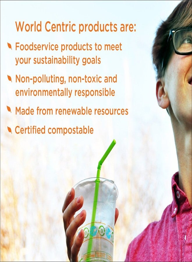World Centric SP-TP-AS Compostable TPLA 6" Asian Soup Spoons (Pack of 500) - Image 2