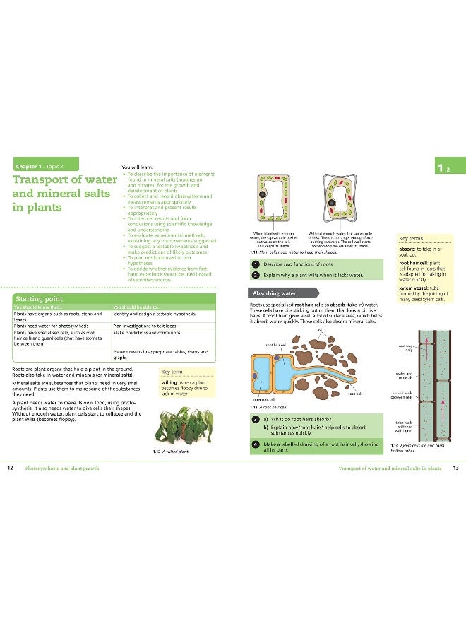 كتاب الطالب في العلوم للمرحلة المتوسطة: المرحلة 9 - Image 4