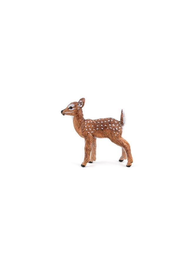 Papo Papo -Hand-Painted - Figurine -Wild Animal Kingdom - White-Tailed Fawn -50219 -Collectible - for Children - Suitable for Boys and Girls- from 3 Years Old - Image 3