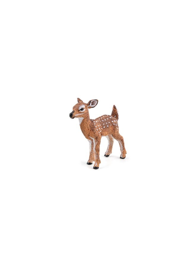 Papo Papo -Hand-Painted - Figurine -Wild Animal Kingdom - White-Tailed Fawn -50219 -Collectible - for Children - Suitable for Boys and Girls- from 3 Years Old - Image 2