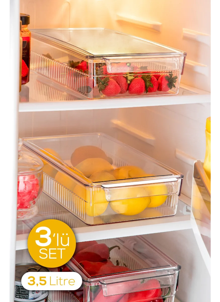Vienev 3-Piece 3.5 Liter Mini Fridge with Lid Cabinet Organizer