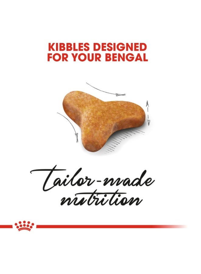 رويال كانين تغذية سلالة القطط البنغالية البالغة 2 كجم - Image 2