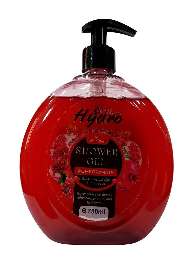 Hydro Stand Shower Gel Pomegranate 750ml  - Image 1