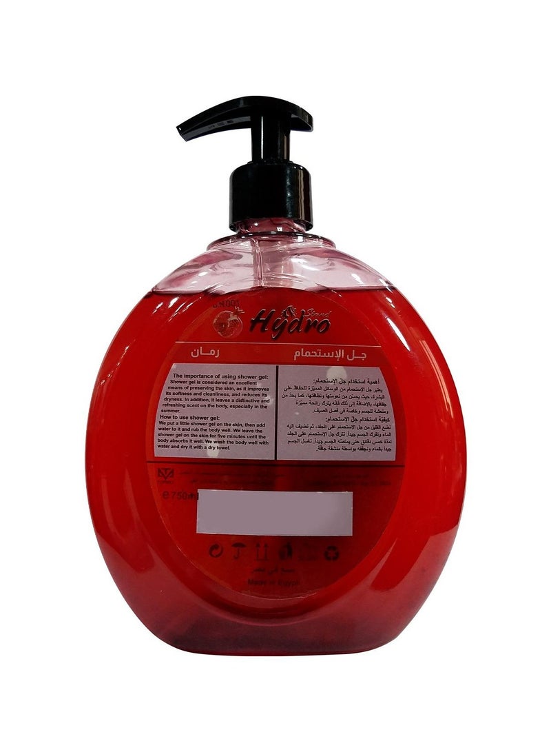 Hydro Stand Shower Gel Pomegranate 750ml  - Image 4
