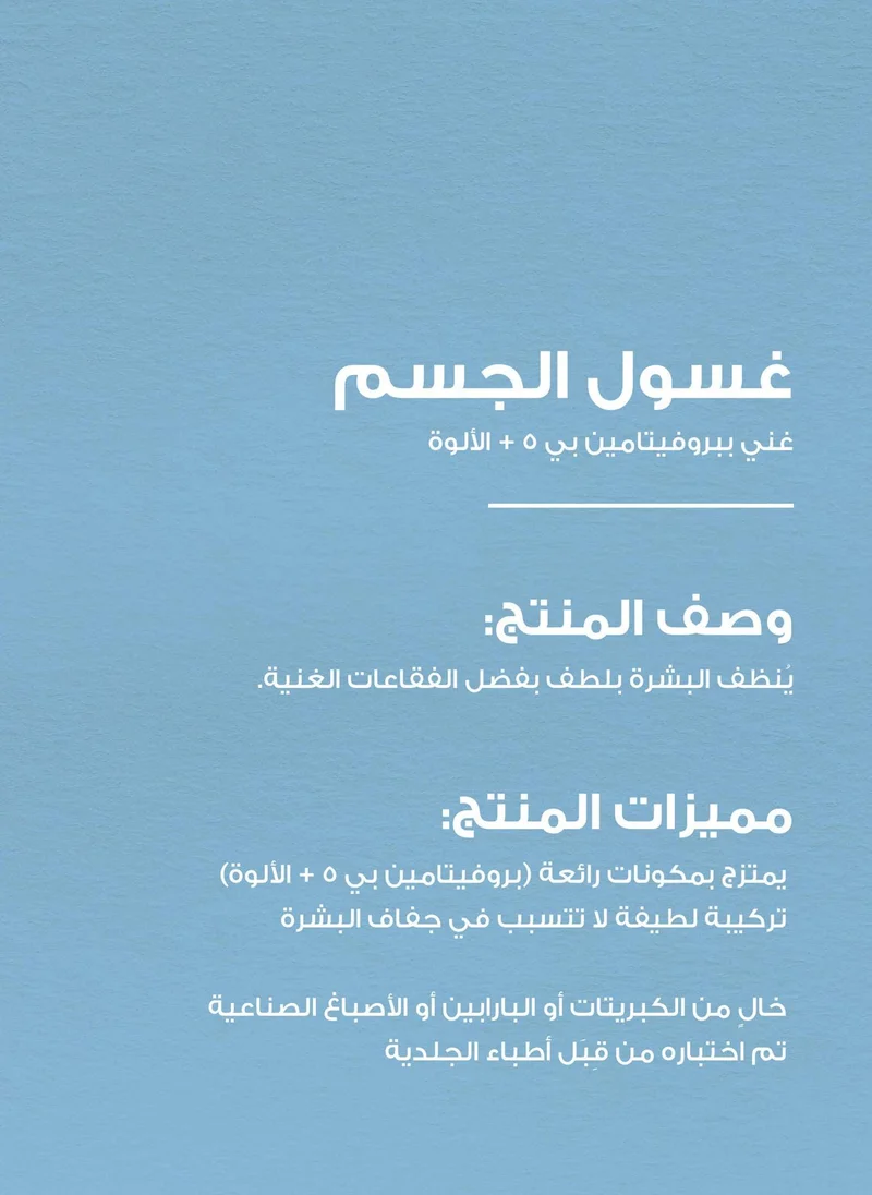 Bath & Body Works  Into the Night Body Wash  | Best Price UAE