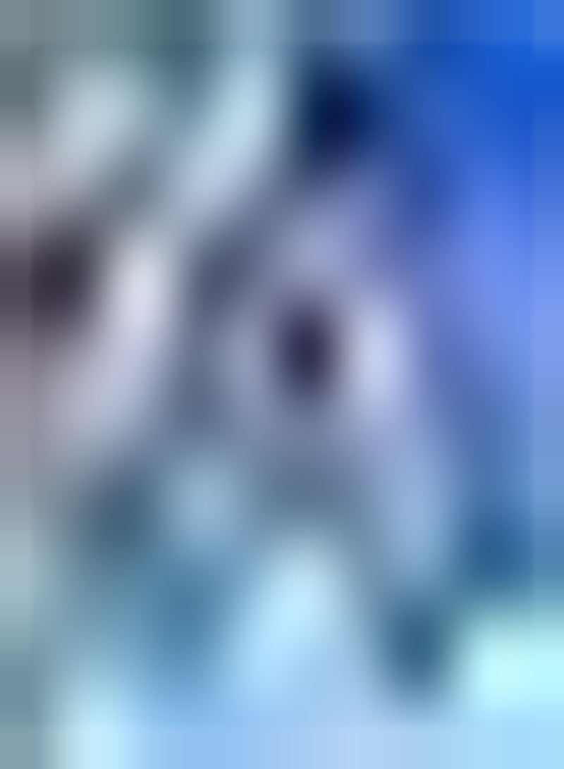 GGOOT 100pcs Moringa seeds Heirloom Widely Cultivated All Around World Plant in Garden to Make Surrounding Environment More Beautiful - Image 1