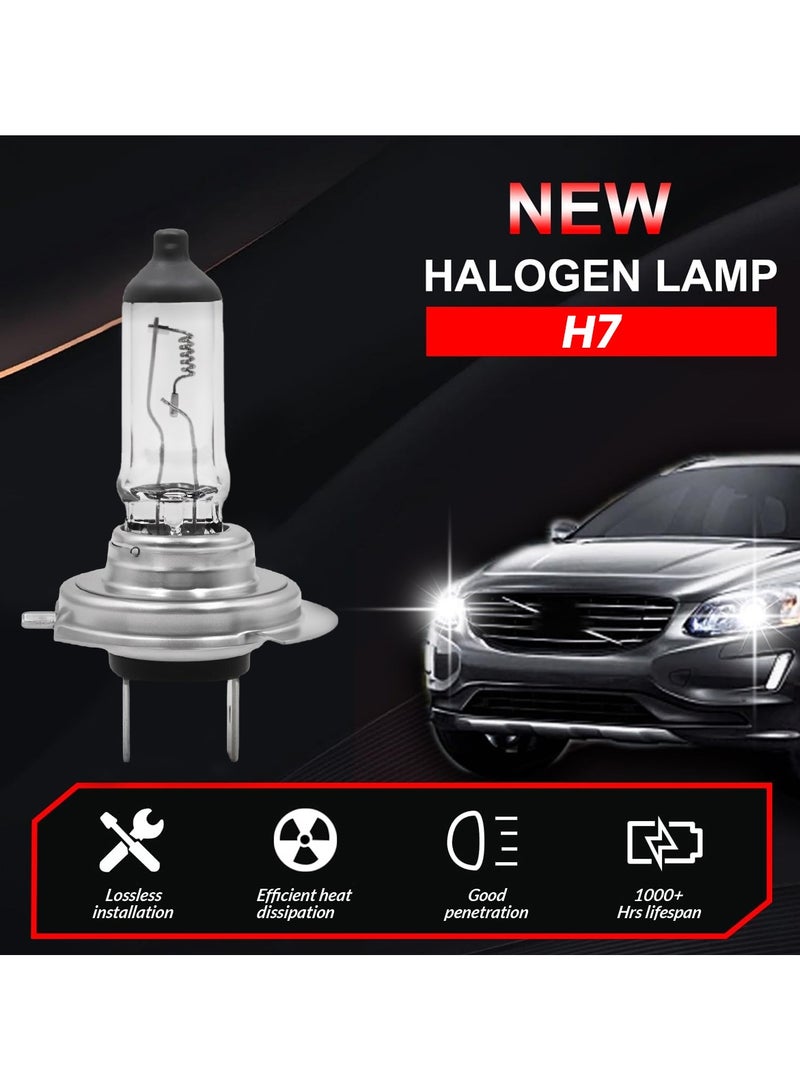 Loquat FEEMA 2PCS High-Performance Halogen Headlight Bulb High Quality Quartz Glass for Bright and Clear Light H7 12V, 55W BL10768 - Image 3