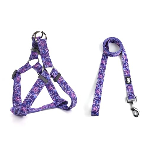 QQPETS Dog Harness Leash Set Adjustable Heavy Duty No Pull Halter Harnesses for Small Medium Large Breed Dogs Back Clip Anti-Twist Perfect for Walking - Image 1