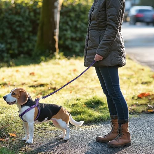 QQPETS Dog Harness Leash Set Adjustable Heavy Duty No Pull Halter Harnesses for Small Medium Large Breed Dogs Back Clip Anti-Twist Perfect for Walking - Image 5