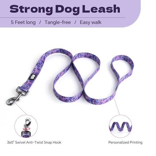 QQPETS Dog Harness Leash Set Adjustable Heavy Duty No Pull Halter Harnesses for Small Medium Large Breed Dogs Back Clip Anti-Twist Perfect for Walking - Image 4