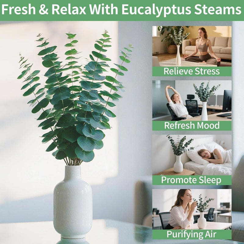 CENELO 12PCS Dried Eucalyptus Bundle 17'' Real Eucalyptus Stems 100% Natural Fresh Leaves Hanging Plants Greenery Stems for Shower Home Decor Flower Arrangement Wedding - Image 3