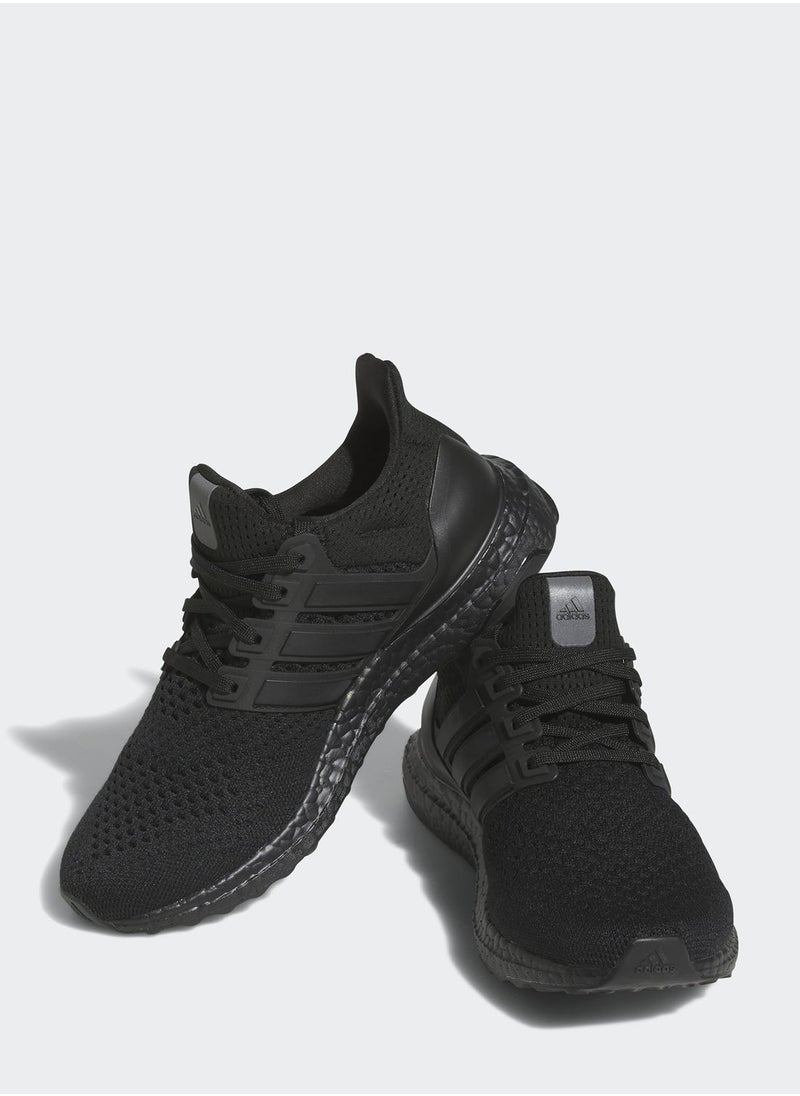 Ultraboost 1.0 - pzsku/Z2EDBC48435FD60A03084Z/45/_/1702402235/5d0a877e-b3b7-4b51-b0b2-8b1593b22b94