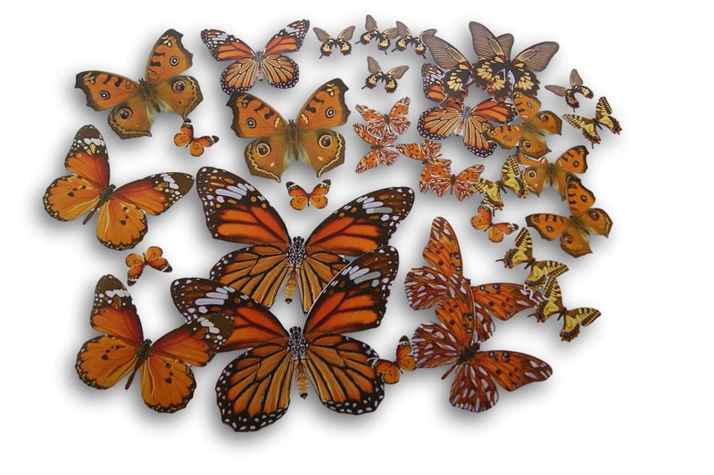 Forever in Time Miniature Die Cut Butterfly Shapes with Foil Accents - 33 Pieces - Image 1