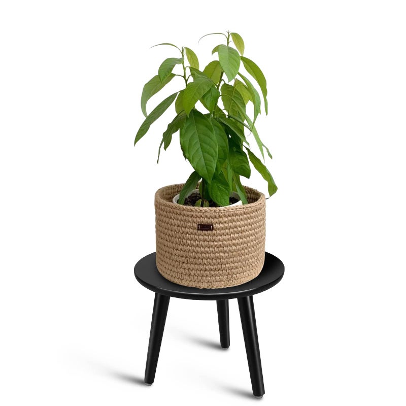 Uneedem Indoor Plant Stand, Modern Plant Table 8.9" Tall Wood Mid Century Flower Holder Small Round Side End Table - Image 1