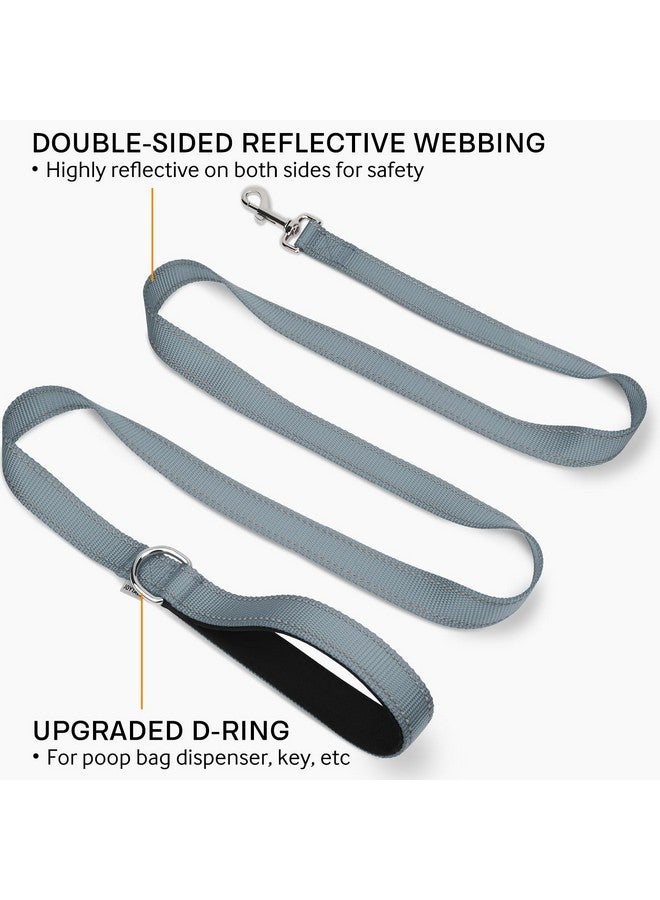 Joytale Joytale Double-Sided Reflective Dog Leash, 6 FT/5 FT/4 FT, Padded Handle Nylon Dogs Leashes for Medium & Large Dogs Walking, Gary, 6FT  - Image 1