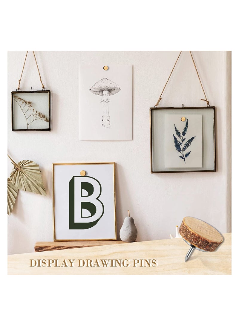 SYOSI 80 Pcs Wood Push Pins Drawing Pins Wood Thumb Tacks Decorative Push Pins Wooden Map Pins for Cork Boards Map Photos Calendar and Home Office Craft Projects - Image 5