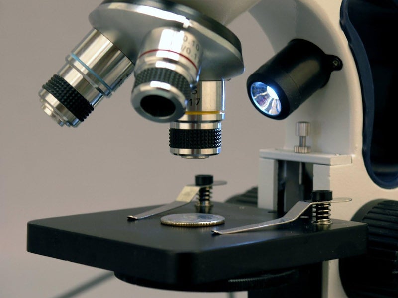 AmScope AmScope M158C2LE2 Compound Monocular Microscope WF10x and WF25x Eyepieces 40x1000x Magnification Upper and Lower LED Illumination Brightfield SingleLens Condenser Coaxial Coarse and Fine Focus Plain Stage 110V Includes 2MP Camera and Software  - Image 2