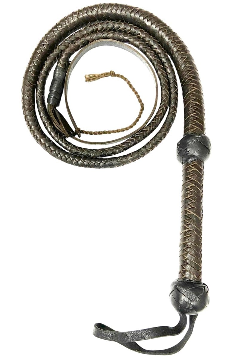 PETS TRIANGLE Leather Bull Whip, 16 Plait,10 Feet, Brown, Smooth Touch for Field Stunts - Image 2