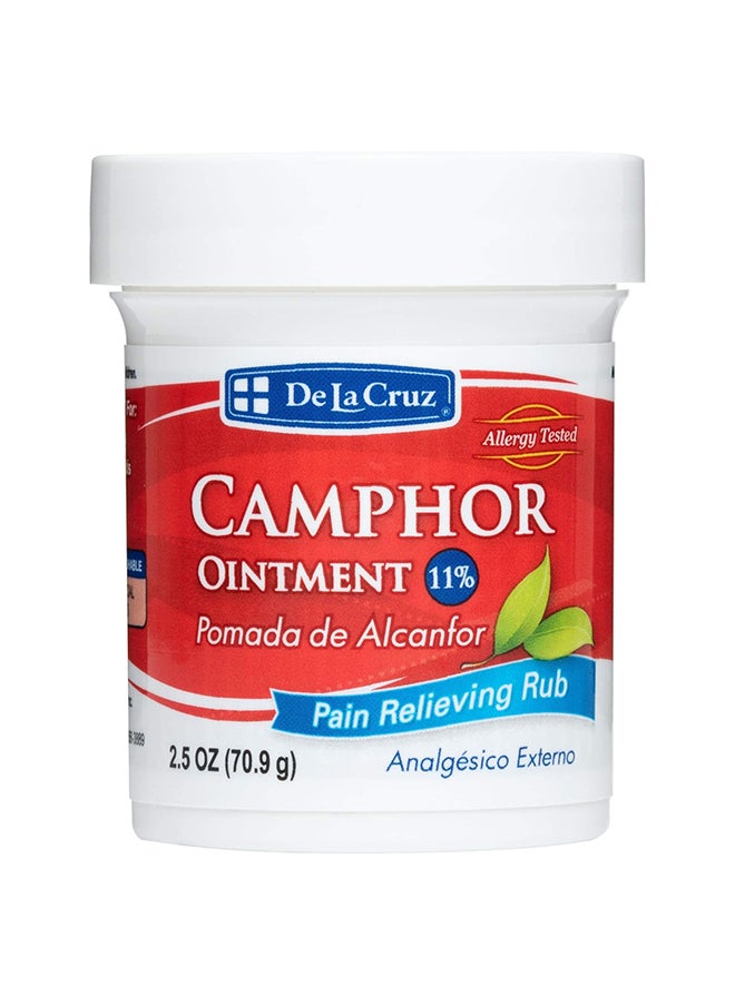 De La Cruz Pain Relief Cream  Maximum Strength Muscle And Joint Camphor Ointment 2.5Oz(70.9G)  - Image 1