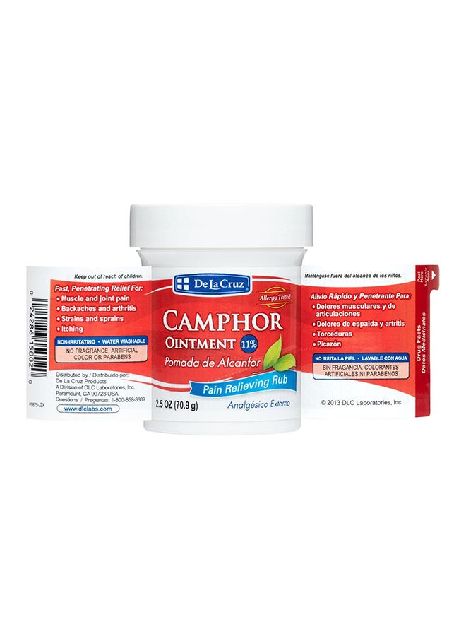 De La Cruz Pain Relief Cream  Maximum Strength Muscle And Joint Camphor Ointment 2.5Oz(70.9G)  - Image 2