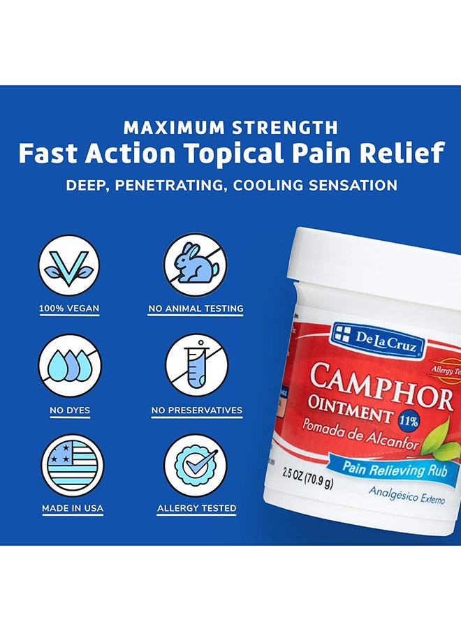 De La Cruz Pain Relief Cream  Maximum Strength Muscle And Joint Camphor Ointment 2.5Oz(70.9G)  - Image 5