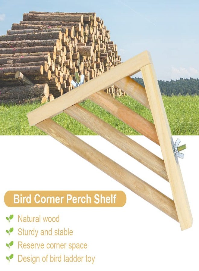 Litewoo Bird Perch Corner Platform Stand Shelf for Birds Budgie Parakeet Cockatiel Conure Cockatoo（Ladder） - Image 3