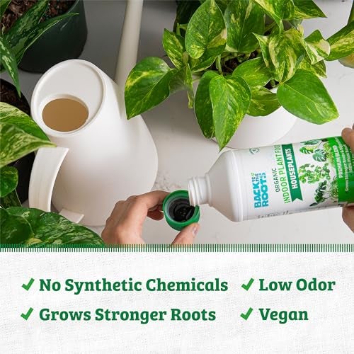 Back to the Roots Natural & Organic Indoor Plant Food (16oz Value Size - 95 Feeds!), Great for Houseplants, Low Odor, Vegan, Easy to Apply Liquid Formula - Image 3