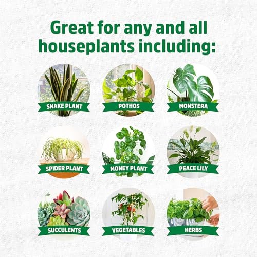 Back to the Roots Natural & Organic Indoor Plant Food (16oz Value Size - 95 Feeds!), Great for Houseplants, Low Odor, Vegan, Easy to Apply Liquid Formula - Image 5