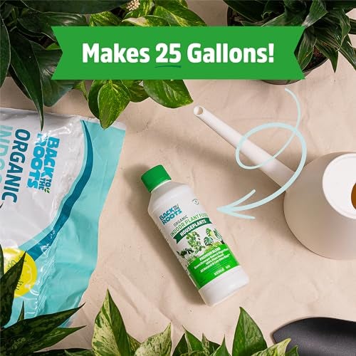 Back to the Roots Natural & Organic Indoor Plant Food (16oz Value Size - 95 Feeds!), Great for Houseplants, Low Odor, Vegan, Easy to Apply Liquid Formula - Image 4