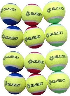 Busso Cb 20 Tennis Ball in a 12 Liter Net is Recommended for Dog Training. 