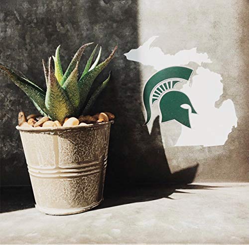 Nudge Printing Collegiate NCAA Car Decal Made from Premium Weatherproof Vinyl (Michigan State Spartans - State of MI) - Image 4