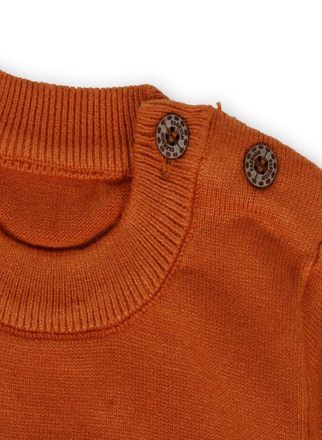 Pokory Baby Sweater Full Sleeve Round Neck Baby Warm Wool Sweater for Kids Boys and Girls - Image 5