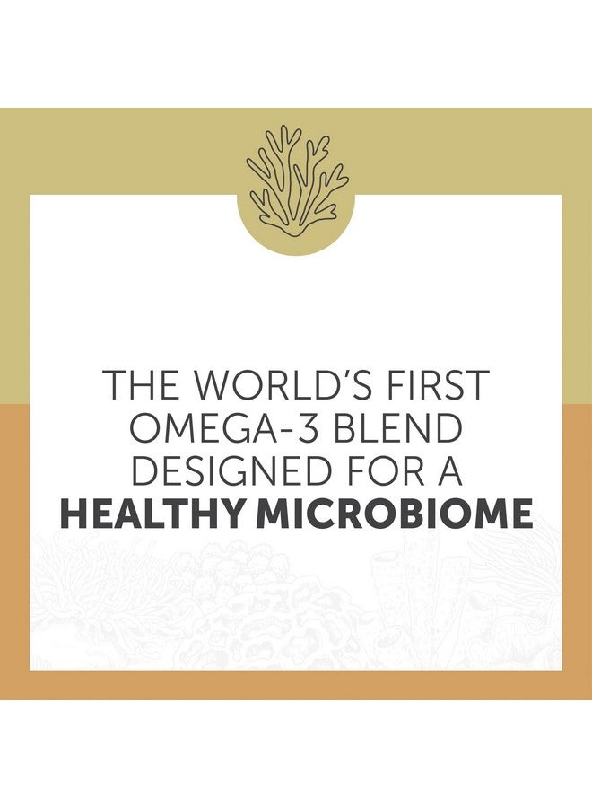 ENZYMEDICA إنزيميدكا أكوا بيوما أقصى قوة زيت سمك أوميغا 3، 60 كبسولة لينة - Image 3