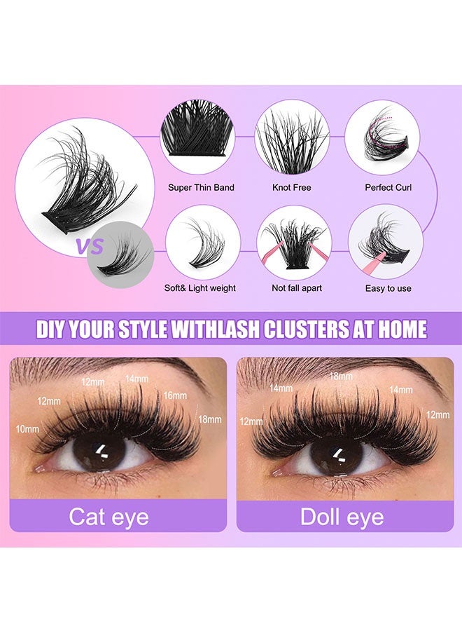 JS Single Cluster False Lashes Set, 3D/4D/5D Multiple Sizes Eyelashes with Eye Black, Mascara Comb, Eyelash Glue and Tweezers, Dense Natural Look Eyelashes, Curl Extension Lashes Eyelashes Set - Image 2