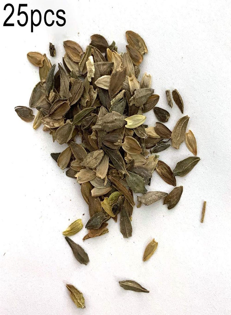 GGOOT 25Pcs Mixed Color Zinnia Flower Seeds,Home Garden Bonsai Easy Grow Plant Decor for Planting Garden Yard Outdoor 1 Zinnia Seeds - Image 2