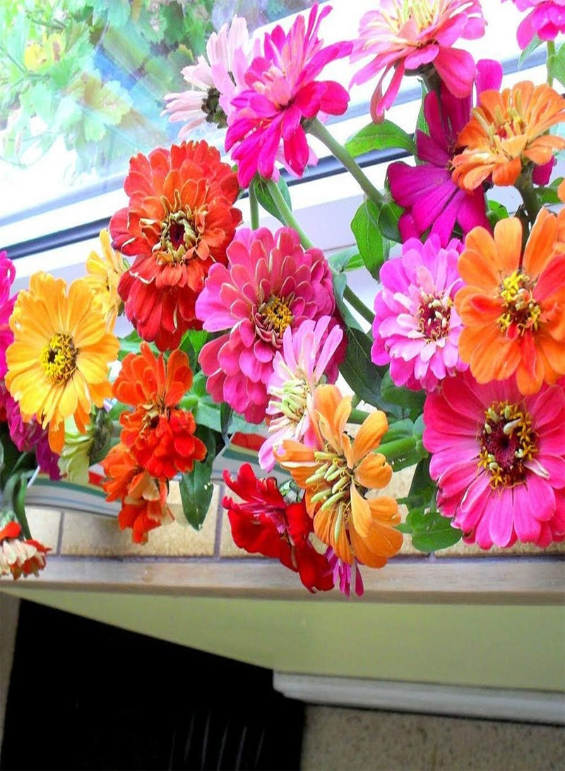 GGOOT 25Pcs Mixed Color Zinnia Flower Seeds,Home Garden Bonsai Easy Grow Plant Decor for Planting Garden Yard Outdoor 1 Zinnia Seeds - Image 1