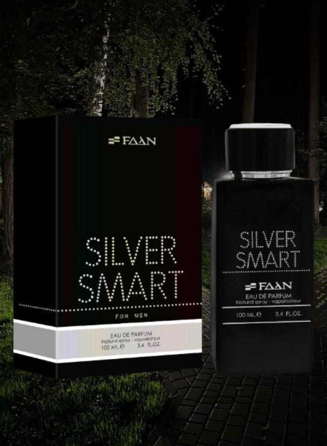 فاان 4 قطع عطر سيلفر سمارت 100مل - Image 2