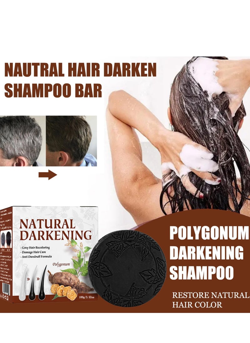 Excefore - Grey Hair Reverse Bar - Mane Root Activator Shampoo and Hair Color Restorer, Reverse Grey Hair Bar Shampoo, Natural Hair Darkening Soap for Grey Hair Care, 2 PCS - Image 1