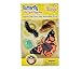 Insect Lore Butterfly Learning Toy 4 Piece Set Shows Metamorphasis Of A Butterfly - Image 3