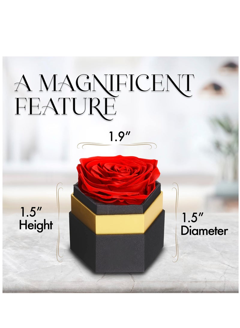 SOLARAE صندوق وردة حمراء فردية على شكل مسدس، ورود محفوظة في صندوق، ورود خالدة في صندوق تدوم لمدة عام، وردة خالدة محفوظة للتوصيل في يوم الأم - Image 4