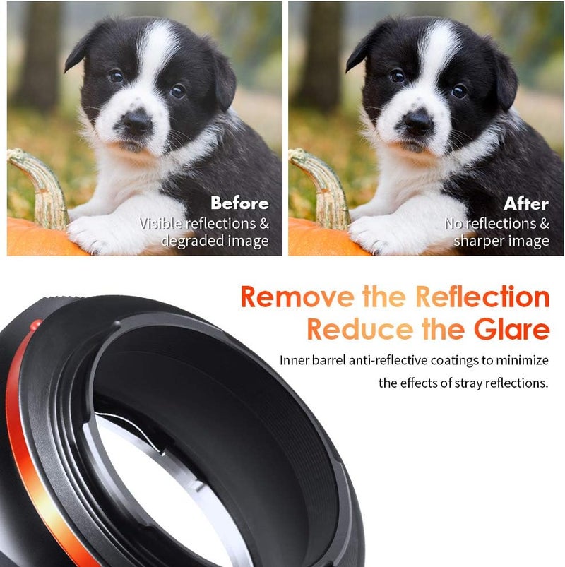 K&F Concept EOS to E Mount Adapter for Canon EF EF-S Lenses to Sony E-Mount Cameras - Image 4