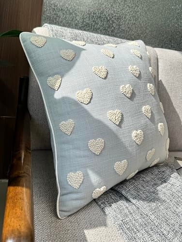 VAGMINE Hand Embroidered Valentine’s Day Gift Throw Pillow Cover - 18x18 Robins Egg Cotton - French Knotted Hearts - Image 3