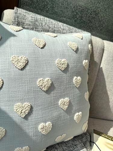 VAGMINE Hand Embroidered Valentine’s Day Gift Throw Pillow Cover - 18x18 Robins Egg Cotton - French Knotted Hearts - Image 5