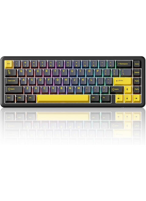 X65 HE Wired Rapid Trigger Magnetic Switch 65% Mechanical Gaming Keyboard, Hall Effect Top Mounted RGB Hot Swap,Adjustable Actuation,8KHZ Polling Rate,PBT Keycaps for Win/Mac