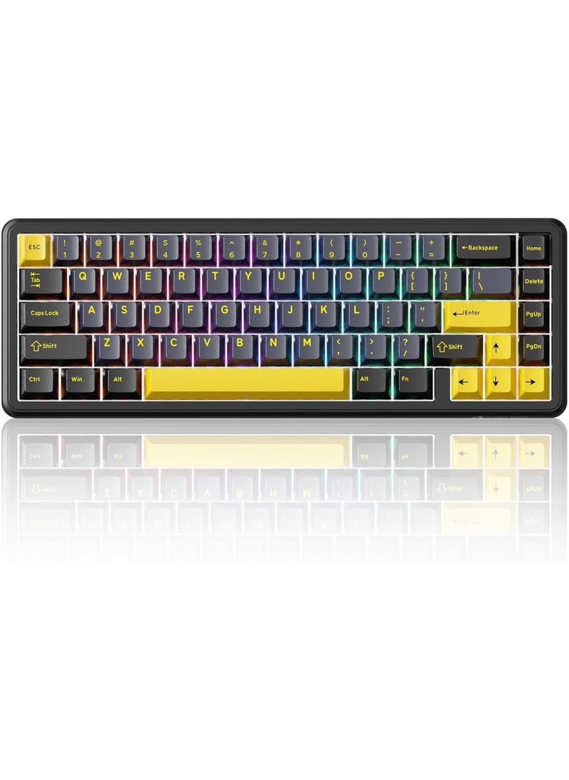 Attack Shark X65 HE Wired Rapid Trigger Magnetic Switch 65% Mechanical Gaming Keyboard, Hall Effect Top Mounted RGB Hot Swap,Adjustable Actuation,8KHZ Polling Rate,PBT Keycaps for Win/Mac  - Image 1