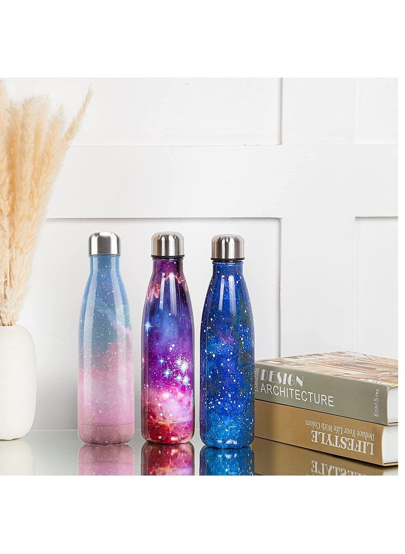 Stainless Steel Water Bottle - Double Wall Vacuum Insulated Container Purple