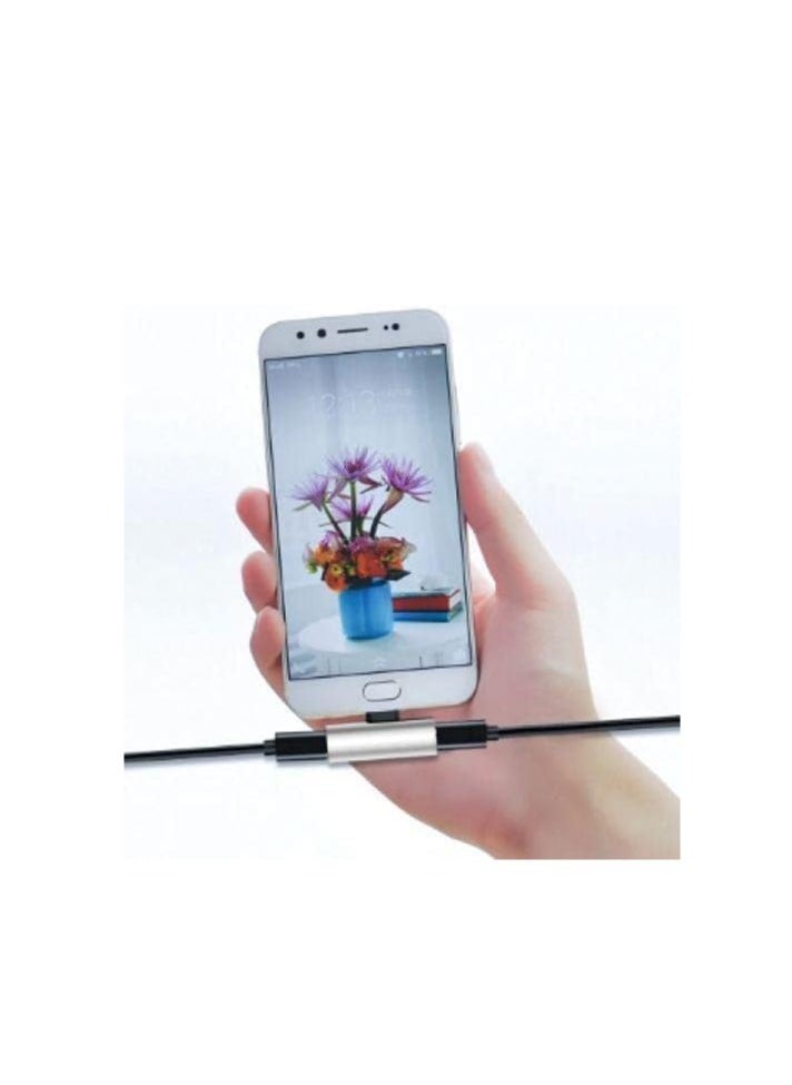 ماركة غير محددة - 2 في 1 Type-C USB-C شحن صوتي مزدوج Type-C شاحن سماعة أذن كابل موصل محول لنظام Android - فضي - Image 1