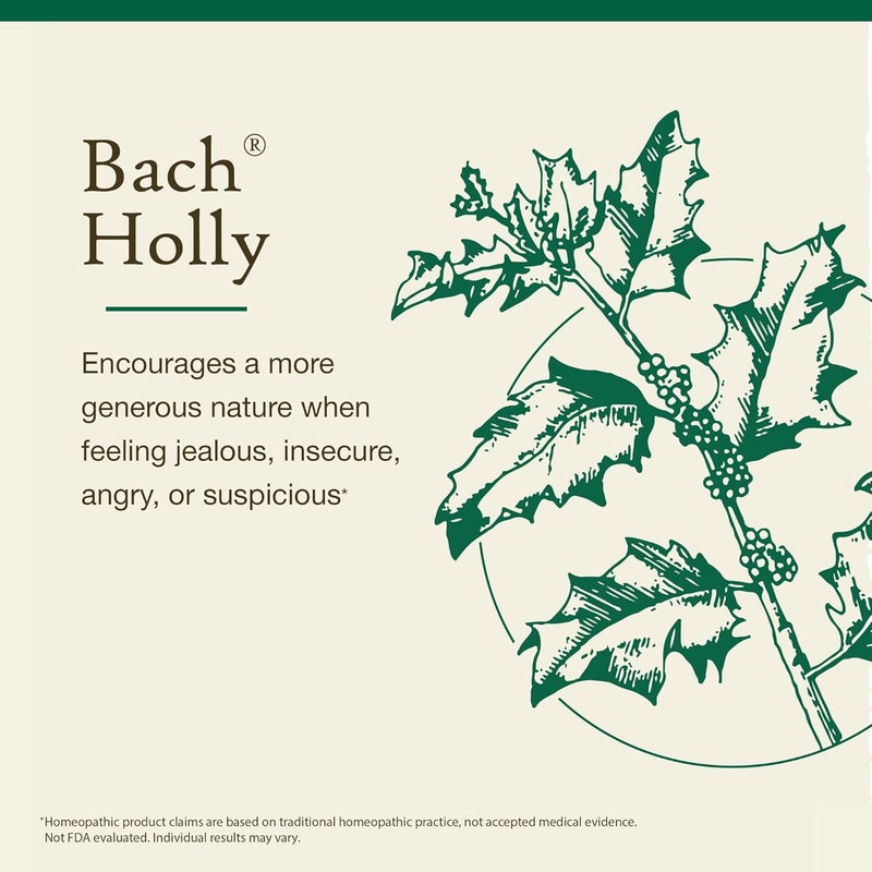 Bach Original Flower Remedies Holly Essence for Goodwill Towards Others - 20mL Homeopathic Dropper - Image 3